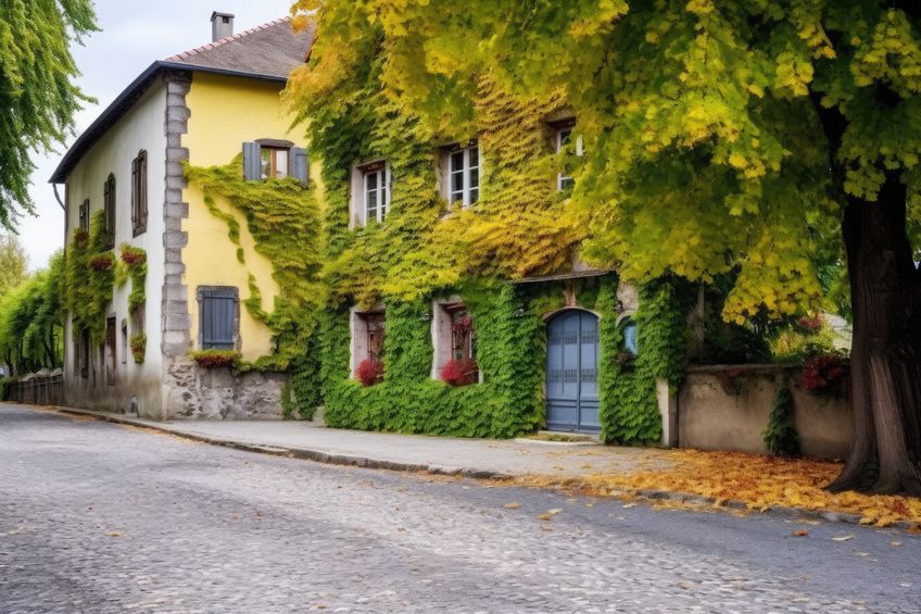 a manor house with a cobblestone yard and ivy walls, created with generative ai